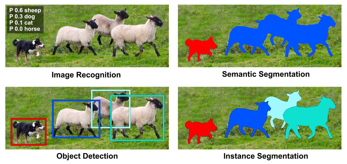 Image Segmentation