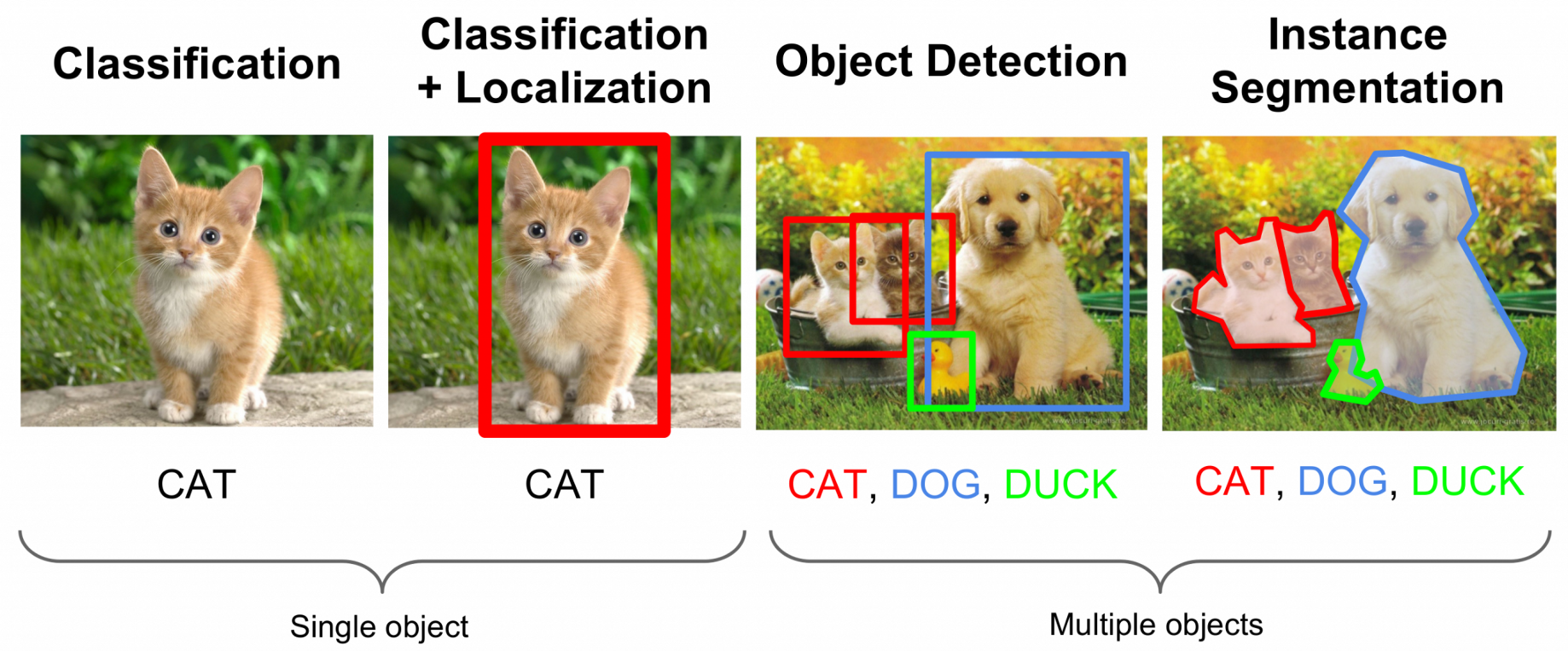 Распознавание объектов на изображении. Segmentation Computer Vision. Object Detection. Image classification.